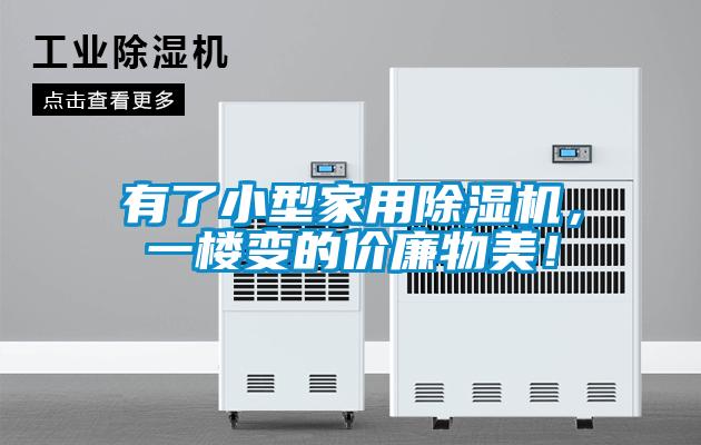 有了小型家用除濕機，一樓變的價廉物美！