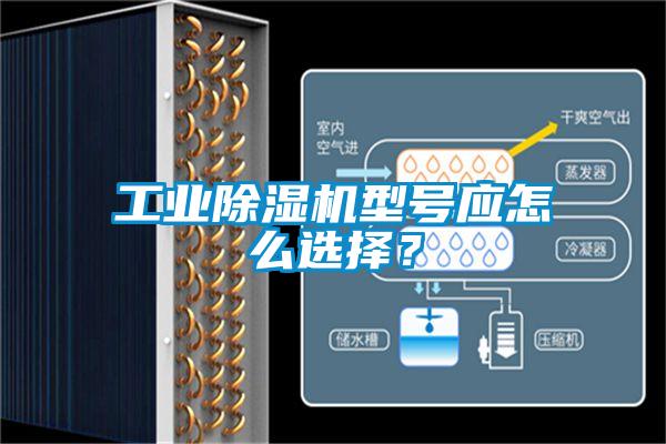 工業(yè)除濕機(jī)型號(hào)應(yīng)怎么選擇？