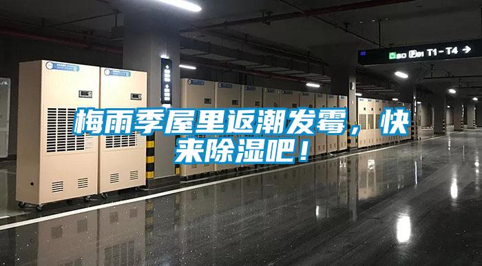 梅雨季屋里返潮發(fā)霉，快來除濕吧！