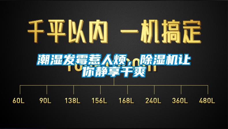 潮濕發(fā)霉惹人煩，除濕機讓你靜享干爽