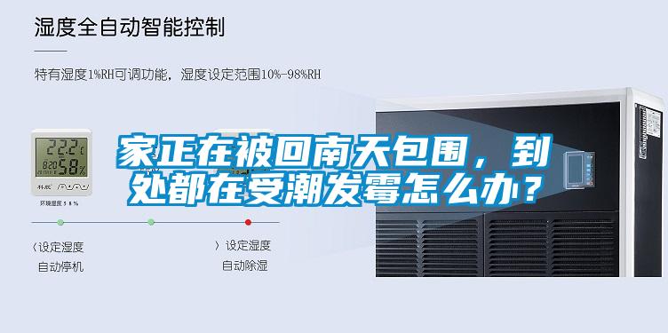 家正在被回南天包圍，到處都在受潮發(fā)霉怎么辦？