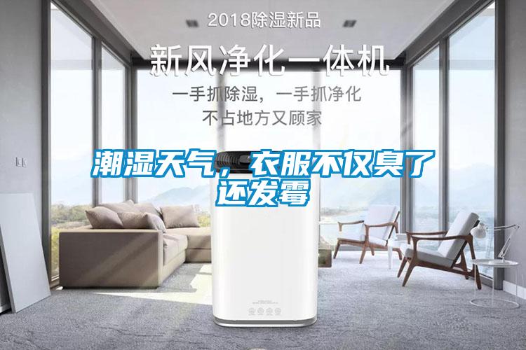 潮濕天氣，衣服不僅臭了還發(fā)霉