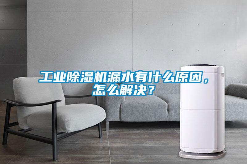 工業(yè)除濕機(jī)漏水有什么原因，怎么解決？