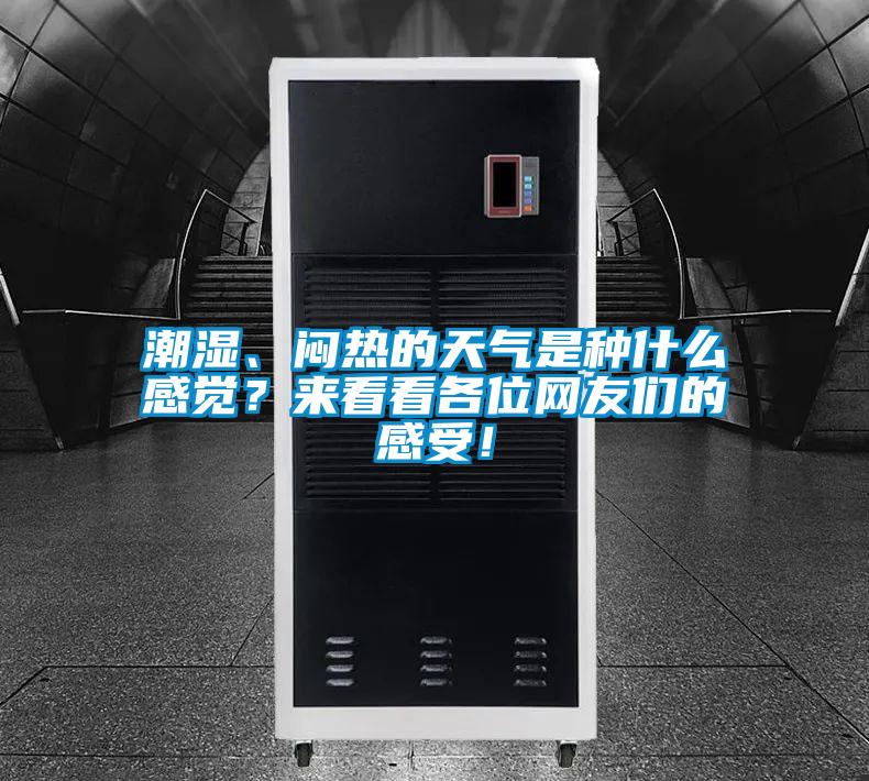 潮濕、悶熱的天氣是種什么感覺？來看看各位網(wǎng)友們的感受！