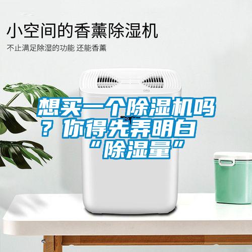 想買一個除濕機嗎？你得先弄明白“除濕量”