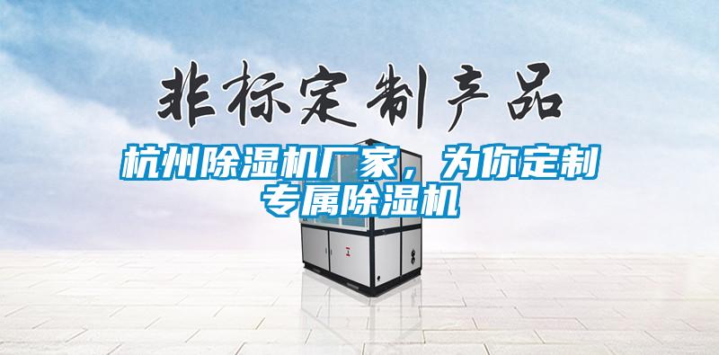 杭州除濕機廠家，為你定制專屬除濕機