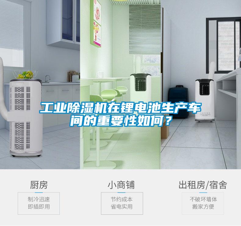 工業(yè)除濕機(jī)在鋰電池生產(chǎn)車間的重要性如何？