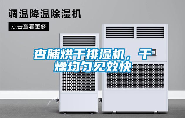 杏脯烘干排濕機，干燥均勻見效快