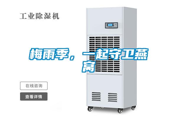 梅雨季，一起守衛(wèi)燕窩