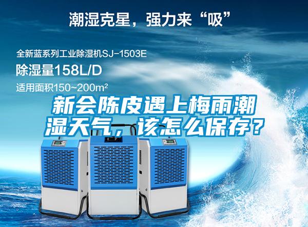 新會(huì)陳皮遇上梅雨潮濕天氣，該怎么保存？