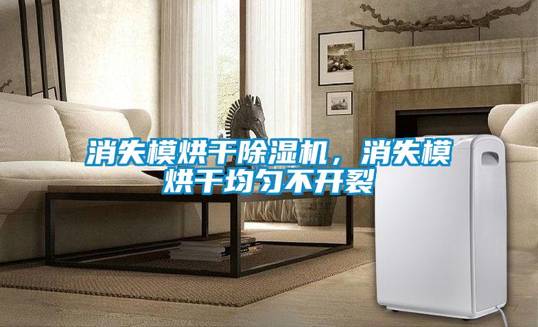 消失模烘干除濕機(jī)，消失模烘干均勻不開裂