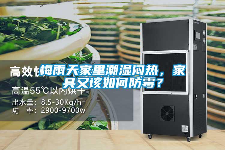 梅雨天家里潮濕悶熱，家具又該如何防霉？