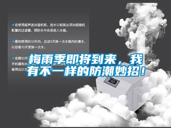 梅雨季即將到來(lái)，我有不一樣的防潮妙招！
