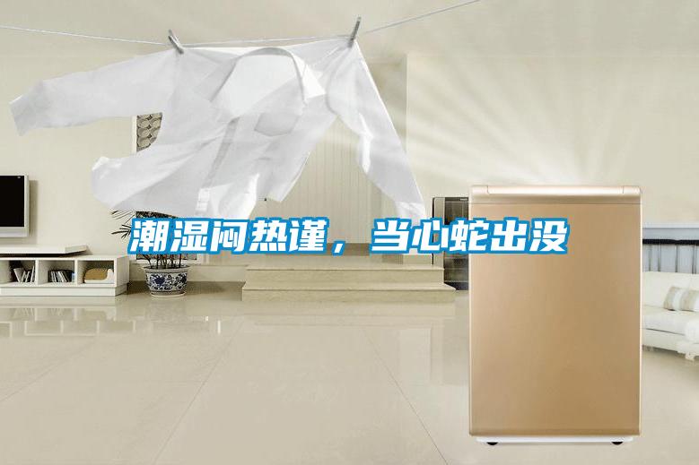 潮濕悶熱謹(jǐn)，當(dāng)心蛇出沒(méi)