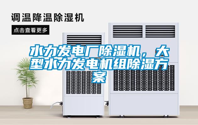 水力發(fā)電廠除濕機(jī)，大型水力發(fā)電機(jī)組除濕方案