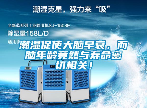 潮濕促使大腦早衰，而腦年齡竟然與壽命密切相關(guān)！