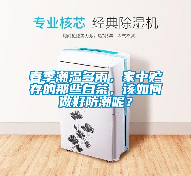 春季潮濕多雨，家中貯存的那些白茶，該如何做好防潮呢？