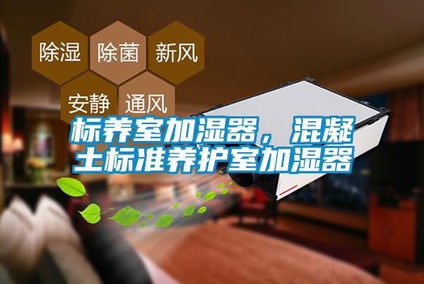 標(biāo)養(yǎng)室加濕器，混凝土標(biāo)準(zhǔn)養(yǎng)護(hù)室加濕器