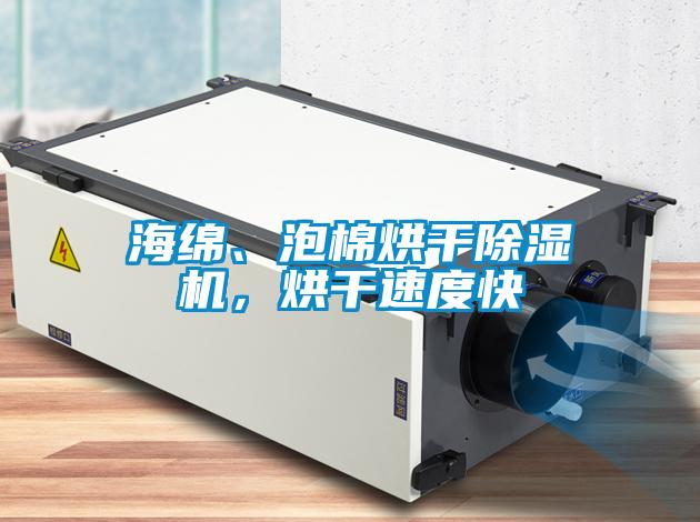 海綿、泡棉烘干除濕機(jī)，烘干速度快