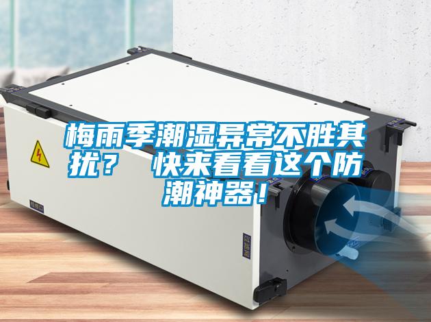 梅雨季潮濕異常不勝其擾？ 快來(lái)看看這個(gè)防潮神器！
