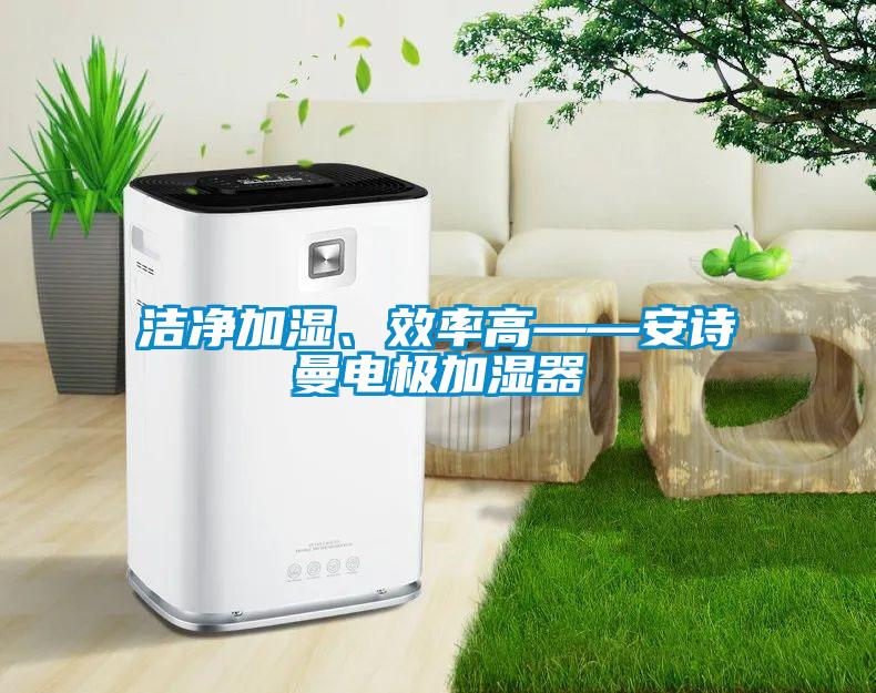潔凈加濕、效率高——安詩(shī)曼電極加濕器