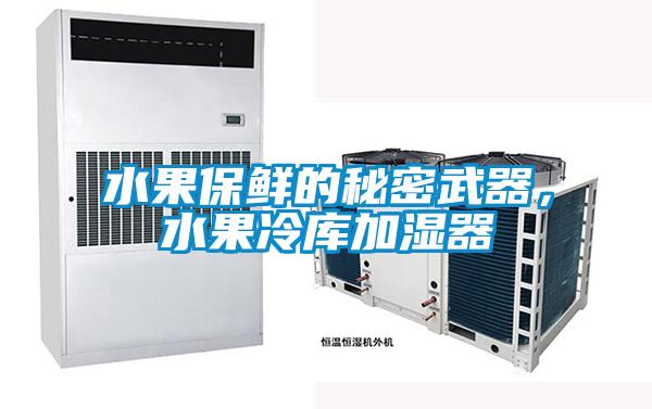 水果保鮮的秘密武器，水果冷庫加濕器