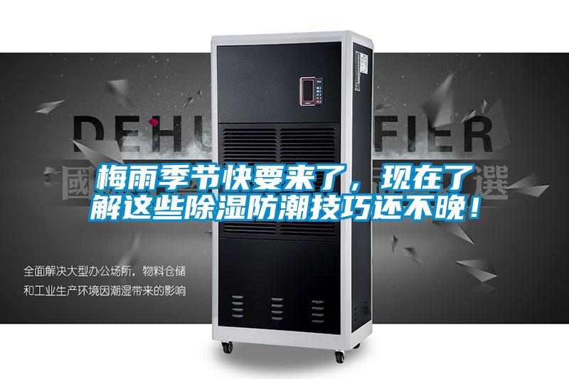梅雨季節(jié)快要來(lái)了，現(xiàn)在了解這些除濕防潮技巧還不晚！