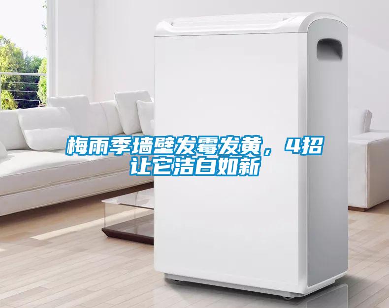 梅雨季墻壁發(fā)霉發(fā)黃，4招讓它潔白如新