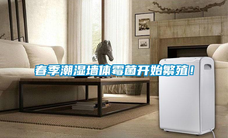 春季潮濕墻體霉菌開始繁殖！