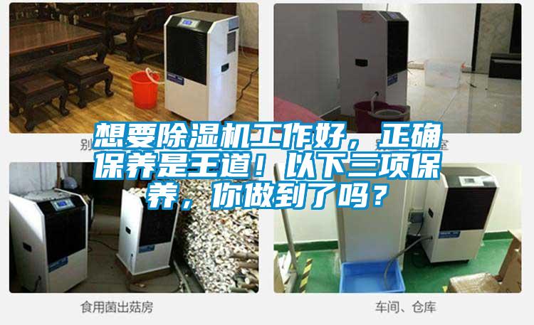 想要除濕機(jī)工作好，正確保養(yǎng)是王道！以下三項(xiàng)保養(yǎng)，你做到了嗎？