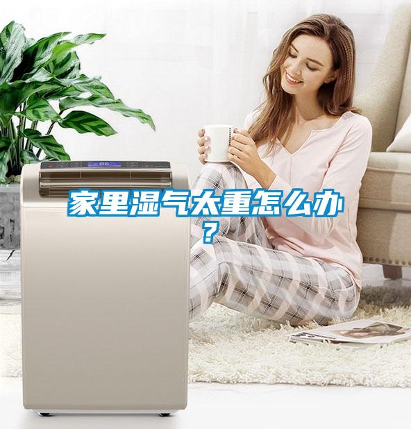 家里濕氣太重怎么辦？
