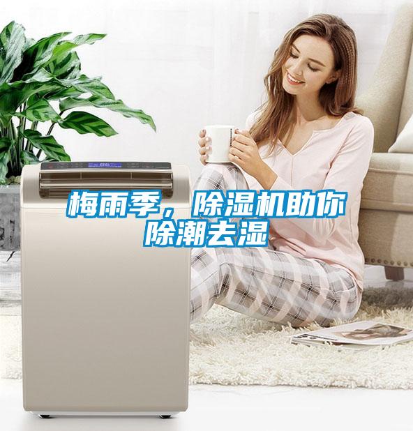 梅雨季，除濕機(jī)助你除潮去濕