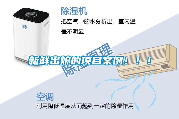 新鮮出爐的項(xiàng)目案例?。?！