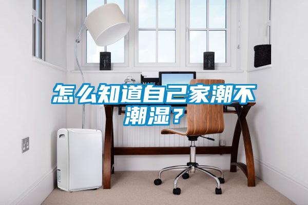 怎么知道自己家潮不潮濕？
