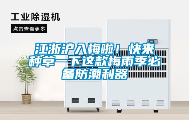 江浙滬入梅啦！快來種草一下這款梅雨季必備防潮利器