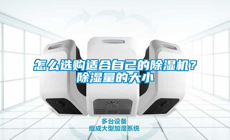 怎么選購適合自己的除濕機？除濕量的大小