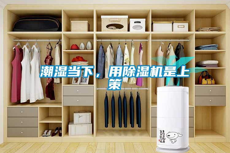 潮濕當下，用除濕機是上策