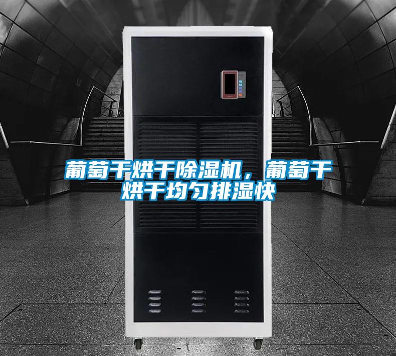 葡萄干烘干除濕機(jī)，葡萄干烘干均勻排濕快