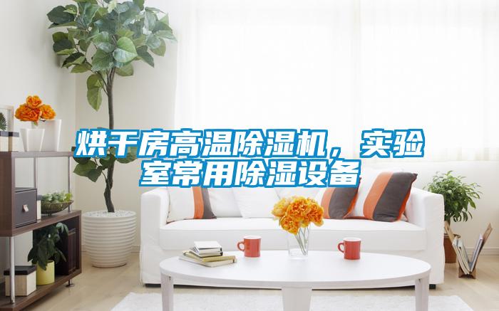 烘干房高溫除濕機(jī)，實(shí)驗(yàn)室常用除濕設(shè)備