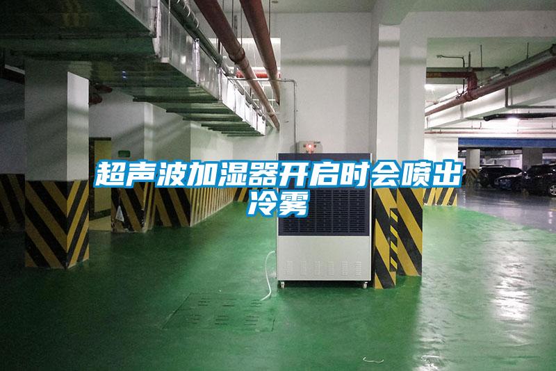 超聲波加濕器開(kāi)啟時(shí)會(huì)噴出冷霧