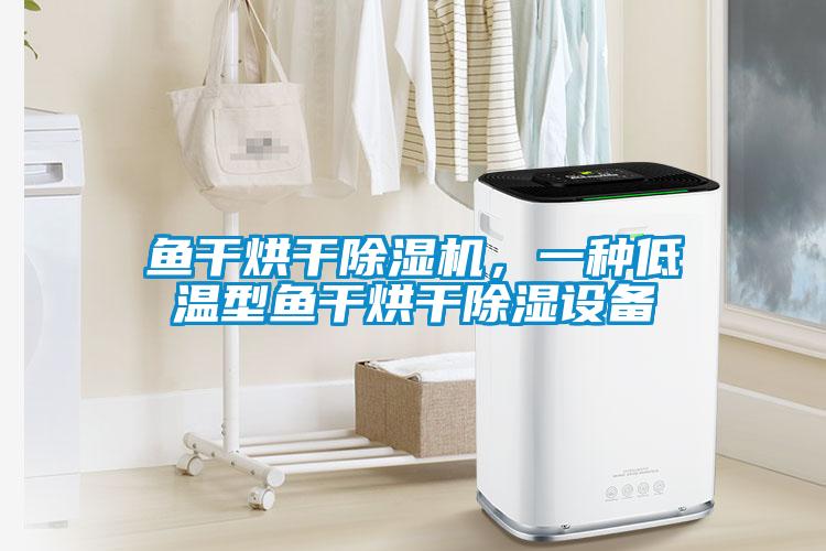 魚干烘干除濕機(jī)，一種低溫型魚干烘干除濕設(shè)備