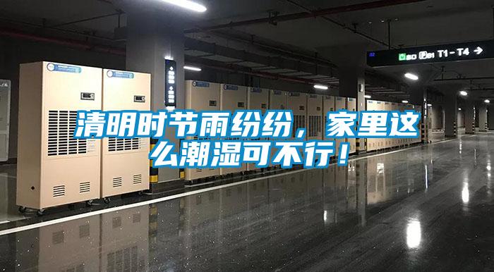 清明時(shí)節(jié)雨紛紛，家里這么潮濕可不行！