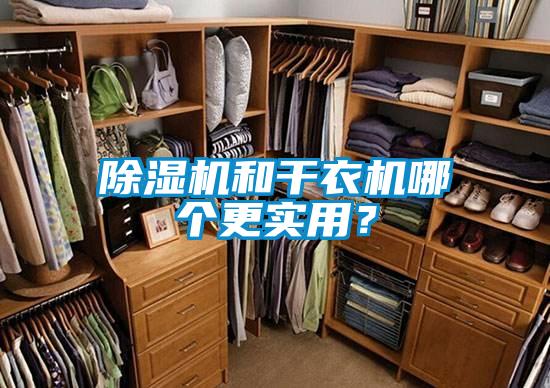 除濕機(jī)和干衣機(jī)哪個(gè)更實(shí)用？