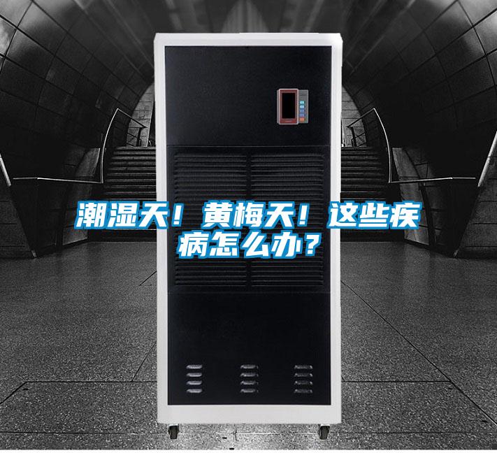 潮濕天！黃梅天！這些疾病怎么辦？