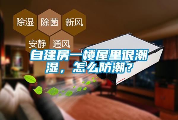 自建房一樓屋里很潮濕，怎么防潮？