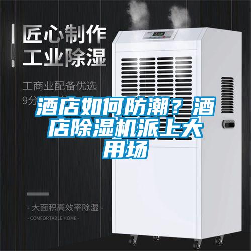 酒店如何防潮？酒店除濕機(jī)派上大用場