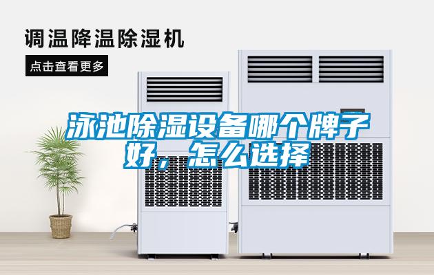 泳池除濕設(shè)備哪個(gè)牌子好，怎么選擇