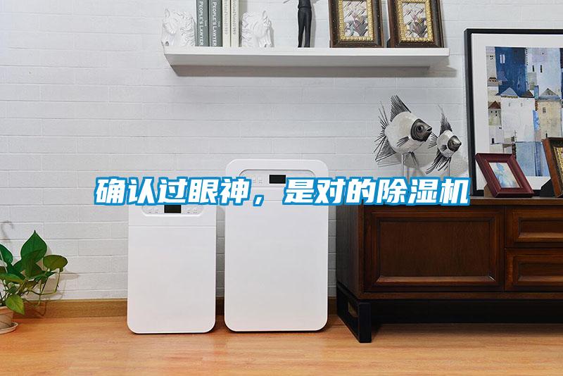 確認(rèn)過(guò)眼神，是對(duì)的除濕機(jī)