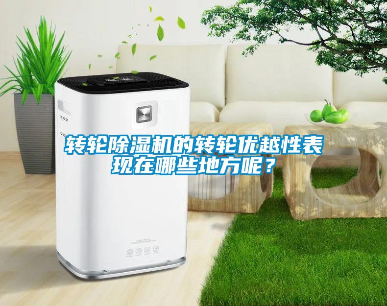 轉(zhuǎn)輪除濕機的轉(zhuǎn)輪優(yōu)越性表現(xiàn)在哪些地方呢？
