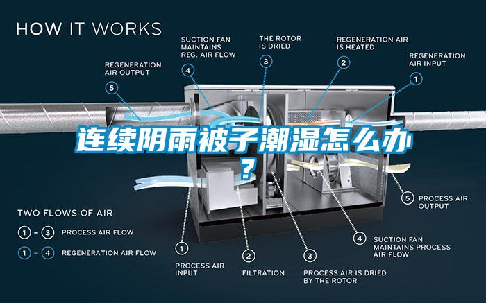 連續(xù)陰雨被子潮濕怎么辦？